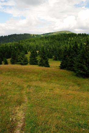 Impressions from Große Fatra / Veľká Fatra #62, Große Fatra / Veľká Fatra, July 2014