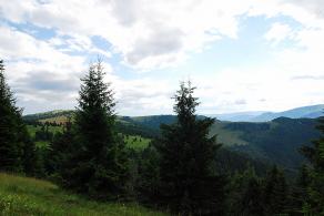 Impressions from Große Fatra / Veľká Fatra #76, Große Fatra / Veľká Fatra, Juli 2014