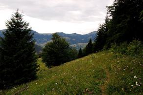 Impressions from Große Fatra / Veľká Fatra #77, Große Fatra / Veľká Fatra, July 2014