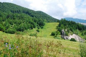 Impressions from Große Fatra / Veľká Fatra #80, Große Fatra / Veľká Fatra, July 2014