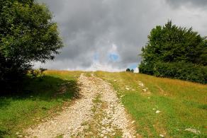 Impressions from Große Fatra / Veľká Fatra #86, Große Fatra / Veľká Fatra, July 2014