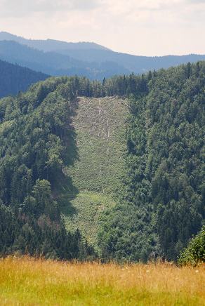 Impressions from Große Fatra / Veľká Fatra #87, Große Fatra / Veľká Fatra, July 2014