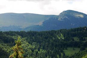 Impressions from Große Fatra / Veľká Fatra #88, Große Fatra / Veľká Fatra, July 2014