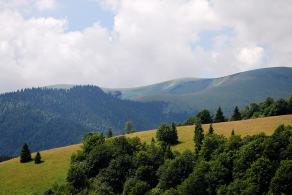 Impressions from Große Fatra / Veľká Fatra #91, Große Fatra / Veľká Fatra, July 2014