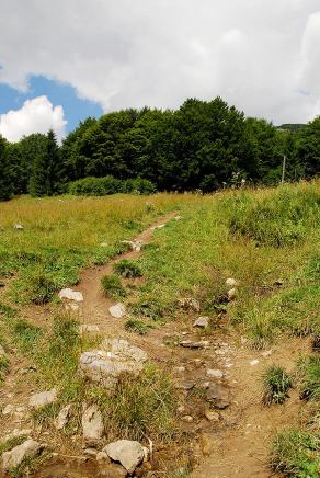 Impressions from Große Fatra / Veľká Fatra #95, Große Fatra / Veľká Fatra, July 2014