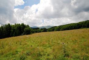 Impressions from Große Fatra / Veľká Fatra #96, Große Fatra / Veľká Fatra, July 2014