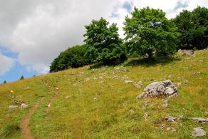 Impressions from Große Fatra / Veľká Fatra #97, Große Fatra / Veľká Fatra, July 2014