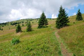Impressions from Große Fatra / Veľká Fatra #98, Große Fatra / Veľká Fatra, Juli 2014