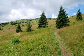 Impressions from Große Fatra / Veľká Fatra #98, Große Fatra / Veľká Fatra, July 2014