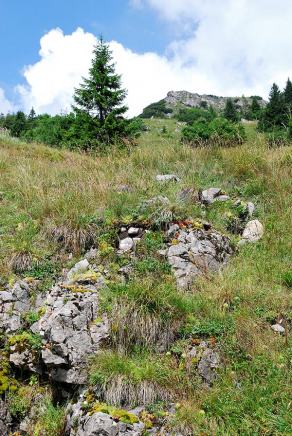 Impressions from Große Fatra / Veľká Fatra #101, Große Fatra / Veľká Fatra, July 2014