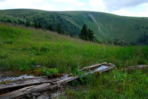 Impressions from Große Fatra / Veľká Fatra #108, Große Fatra / Veľká Fatra, July 2014