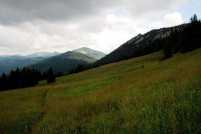 Impressions from Große Fatra / Veľká Fatra #109, Große Fatra / Veľká Fatra, July 2014