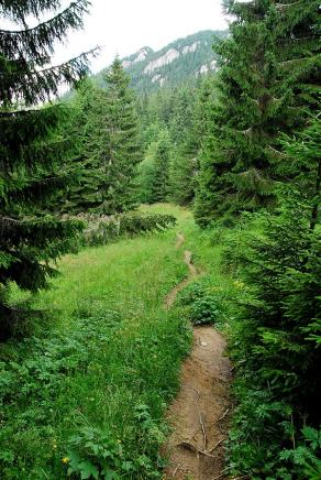 Impressions from Große Fatra / Veľká Fatra #111, Große Fatra / Veľká Fatra, July 2014