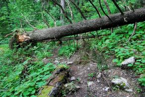 Impressions from Große Fatra / Veľká Fatra #115, Große Fatra / Veľká Fatra, July 2014