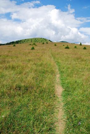 Impressions from Große Fatra / Veľká Fatra #120, Große Fatra / Veľká Fatra, July 2014