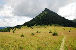 Impressions from Große Fatra / Veľká Fatra #121, Große Fatra / Veľká Fatra, July 2014