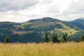 Impressions from Große Fatra / Veľká Fatra #122, Große Fatra / Veľká Fatra, Juli 2014