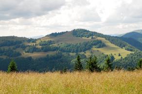 Impressions from Große Fatra / Veľká Fatra #122, Große Fatra / Veľká Fatra, July 2014