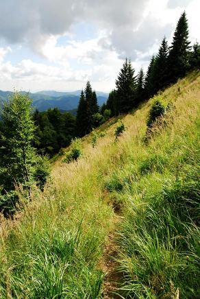 Impressions from Große Fatra / Veľká Fatra #128, Große Fatra / Veľká Fatra, July 2014