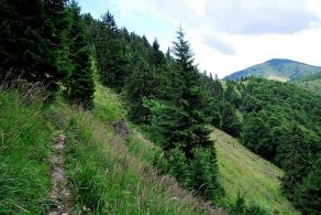 Impressions from Große Fatra / Veľká Fatra #129, Große Fatra / Veľká Fatra, Juli 2014