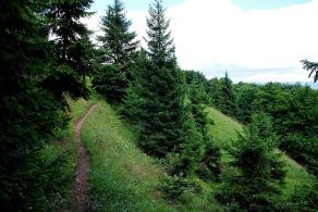 Impressions from Große Fatra / Veľká Fatra #130, Große Fatra / Veľká Fatra, Juli 2014