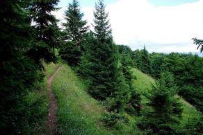 Impressions from Große Fatra / Veľká Fatra #130, Große Fatra / Veľká Fatra, July 2014