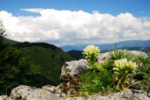 Impressions from Große Fatra / Veľká Fatra #132, Große Fatra / Veľká Fatra, July 2014