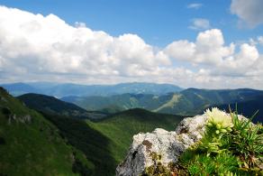 Impressions from Große Fatra / Veľká Fatra #133, Große Fatra / Veľká Fatra, July 2014