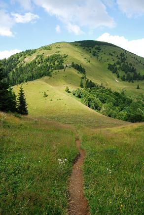 Impressions from Große Fatra / Veľká Fatra #136, Große Fatra / Veľká Fatra, Juli 2014