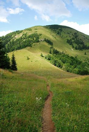 Impressions from Große Fatra / Veľká Fatra #136, Große Fatra / Veľká Fatra, July 2014