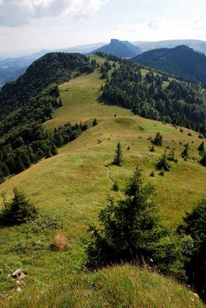 Impressions from Große Fatra / Veľká Fatra #139, Große Fatra / Veľká Fatra, Juli 2014