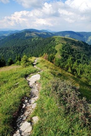 Impressions from Große Fatra / Veľká Fatra #149, Große Fatra / Veľká Fatra, Juli 2014