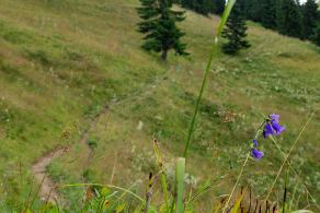 Impressions from Große Fatra / Veľká Fatra #154, Große Fatra / Veľká Fatra, Juli 2014