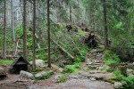 Impressions from… Hohe Tatra, Niedere Tatra / Vysoké Tatry, Nízke Tatry (SK) #16