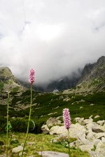 Impressions from… Hohe Tatra, Niedere Tatra / Vysoké Tatry, Nízke Tatry (SK) #36