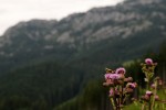 Impressions from… Hohe Tatra, Niedere Tatra / Vysoké Tatry, Nízke Tatry (SK) #59