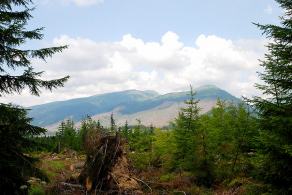 Impressions from Hohe Tatra / Vysoké Tatry #2, Hohe Tatra / Vysoké Tatry, Juli 2014