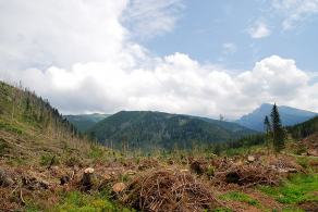 Impressions from… #11, Hohe Tatra / Vysoké Tatry, Juli 2014