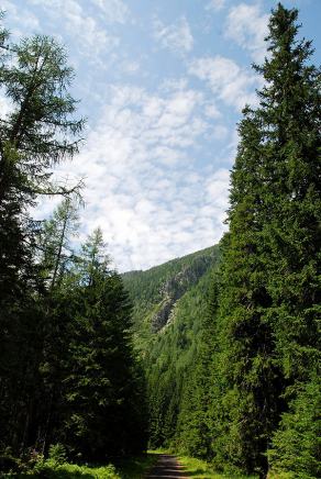 Impressions from Hohe Tatra / Vysoké Tatry #14, Hohe Tatra / Vysoké Tatry, Juli 2014