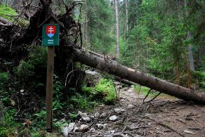 Impressions from Hohe Tatra / Vysoké Tatry #17, Hohe Tatra / Vysoké Tatry, Juli 2014
