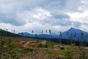 Impressions from Hohe Tatra / Vysoké Tatry #26, Hohe Tatra / Vysoké Tatry, Juli 2014