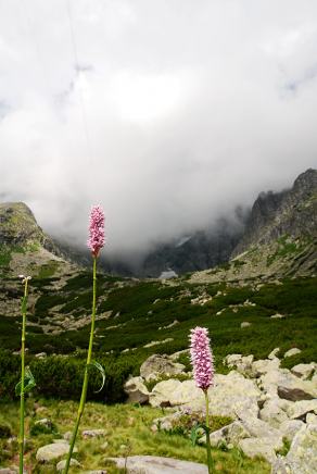 Impressions from… #36, Hohe Tatra / Vysoké Tatry, Juli 2014