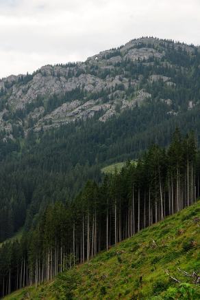 Impressions from… #57, Hohe Tatra / Vysoké Tatry, Juli 2014