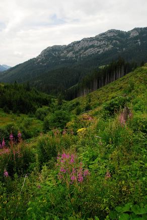 Impressions from Hohe Tatra / Vysoké Tatry #58, Hohe Tatra / Vysoké Tatry, Juli 2014