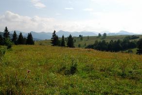 Impressions from Hohe Tatra / Vysoké Tatry #61, Hohe Tatra / Vysoké Tatry, Juli 2014