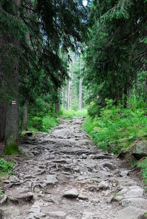 Impressions from… #66, Hohe Tatra / Vysoké Tatry, Juli 2014