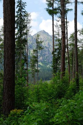Impressions from Hohe Tatra / Vysoké Tatry #67, Hohe Tatra / Vysoké Tatry, Juli 2014