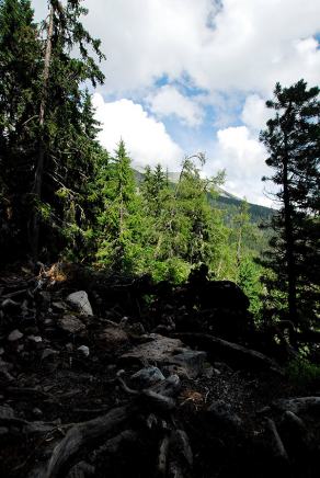 Impressions from Hohe Tatra / Vysoké Tatry #73, Hohe Tatra / Vysoké Tatry, Juli 2014