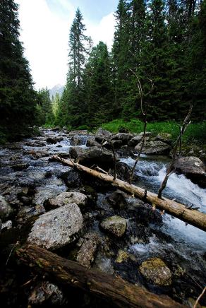 Impressions from Hohe Tatra / Vysoké Tatry #74, Hohe Tatra / Vysoké Tatry, Juli 2014