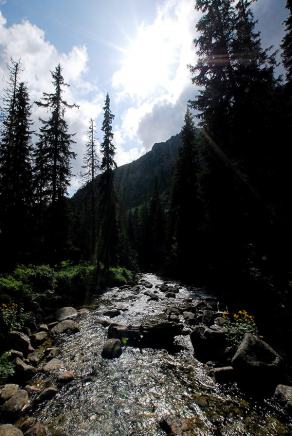 Impressions from Hohe Tatra / Vysoké Tatry #76, Hohe Tatra / Vysoké Tatry, Juli 2014
